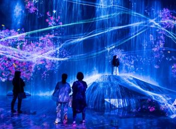 Immersive digital art installation